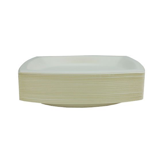 Compostable Bagasse Bistro Plate 